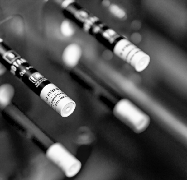 Screen+Shot+2020-06-10+at+12.16.09+PM